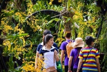 hanh trinh 247 nhieu hoat dong hap dan chao mung ngay quoc te phu nu 83 tai dam sen