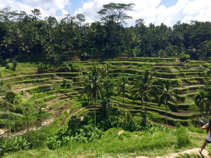 bali mot trong nhung noi dep va than thien nhat o indonesia