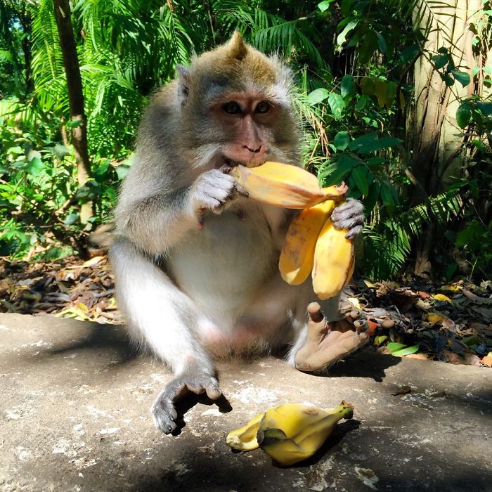 bali mot trong nhung noi dep va than thien nhat o indonesia