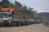 ts pham sy thanh lo trung quoc day kho sang viet nam