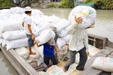 Nhiều “ông lớn” rút kế hoạch nhập gạo Việt Nam