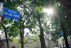 tp hcm di doi don ha 300 cay xanh phuc vu du an giao thong