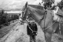 nghe si my trien lam ve tu ky tai viet nam