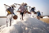 Bán muối không ai giàu