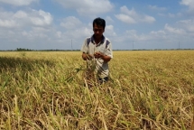 mien bac ret ve dem va sang mien nam ngay nang