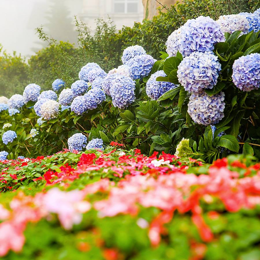 le hoi duong pho soi dong chao mung 83 tai kdl tai ba na hills