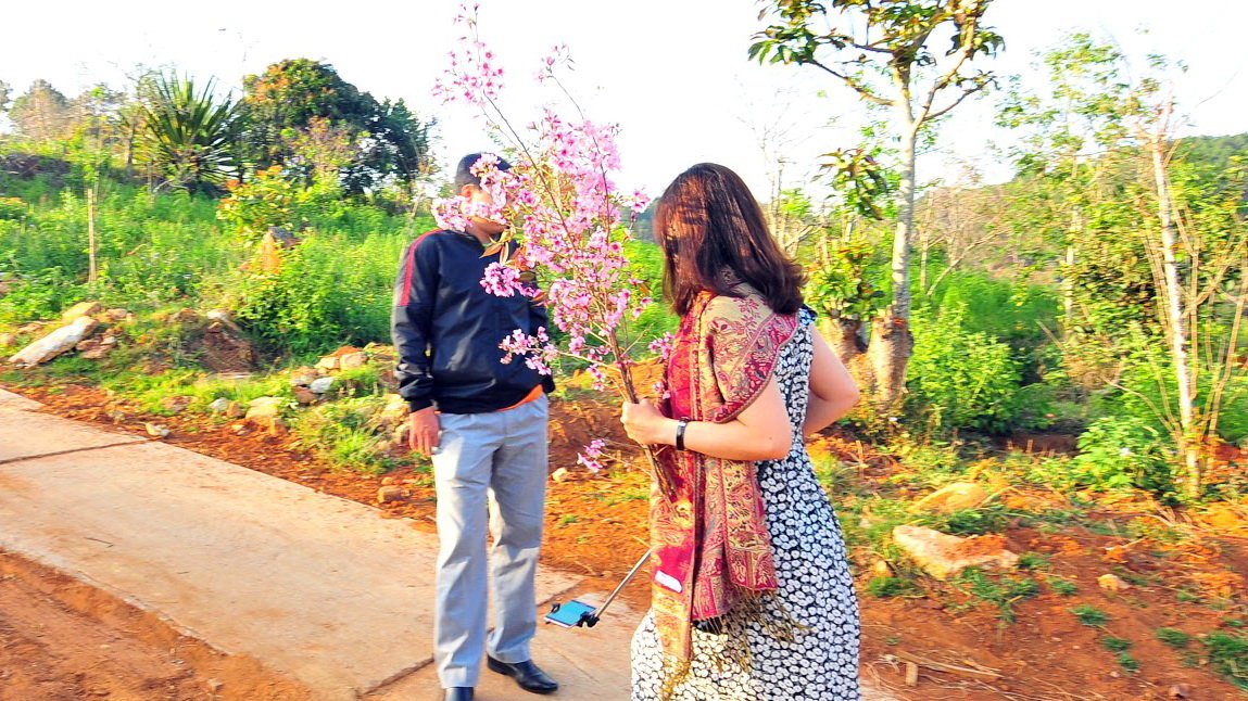 nhung hinh anh xau xi cua du khach qua nhung mua hoa