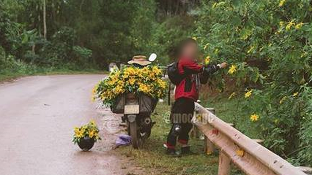 nhung hinh anh xau xi cua du khach qua nhung mua hoa