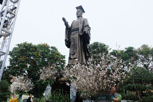 can canh hang nghin canh hoa anh dao duoc cam tai tuong dai ly thai to