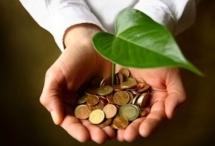 chung khoan tri viet tvb lai hon 20 ty dong nam 2016 quyet dinh chi co tuc bang tien 56 cho co dong