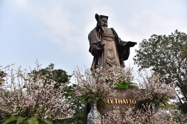 nguoi dan ha noi hao huc chup anh voi hoa anh dao tu ngoai hang rao