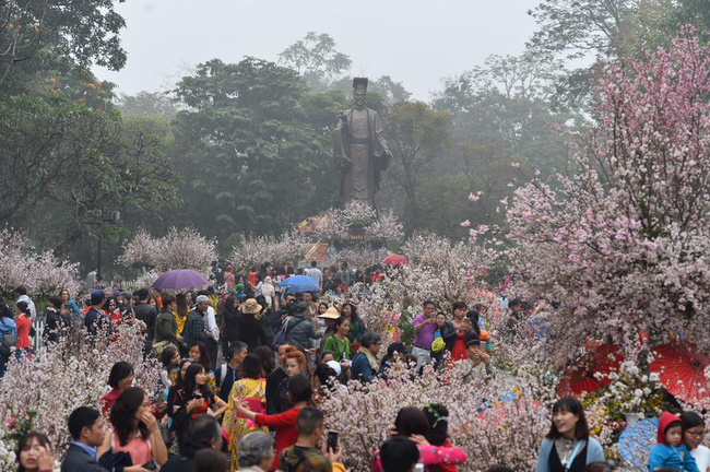 nguoi dan doi mua do xo di chup anh voi hoa anh dao xin 100 o ha noi
