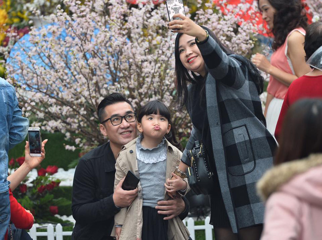 nguoi dan doi mua do xo di chup anh voi hoa anh dao xin 100 o ha noi