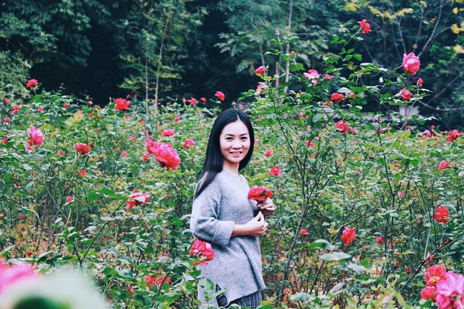 con duong khoi nghiep voi 20000 goc hoa hong sach cua nu luat su ha noi