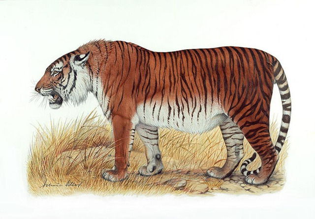 11 sinh vat da tuyet chung nhung sap duoc hoi sinh nho cac nha khoa hoc