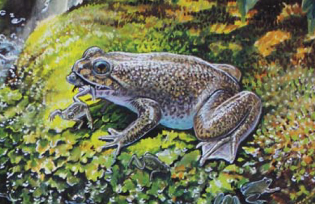 11 sinh vat da tuyet chung nhung sap duoc hoi sinh nho cac nha khoa hoc
