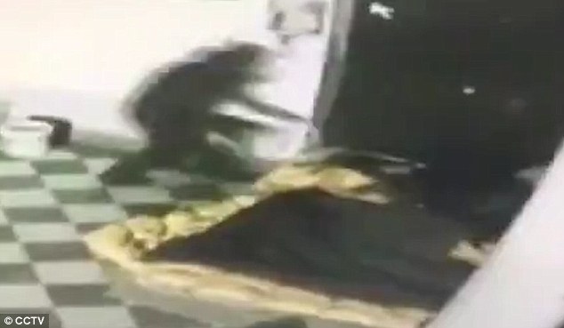 ke giet nguoi tao ton do xang len nguoi vo gia cu roi thieu song ngay tren pho