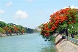 chang can di xa cung co mot thanh pho hoa phuong do giua long ha noi