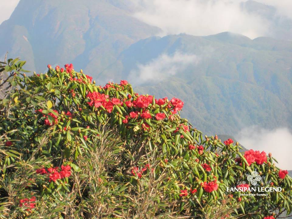 lao cai lan dau tien to chuc le hoi hoi hoa do quyen