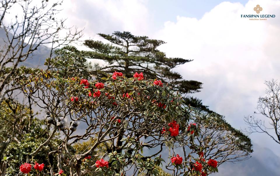 lao cai lan dau tien to chuc le hoi hoi hoa do quyen