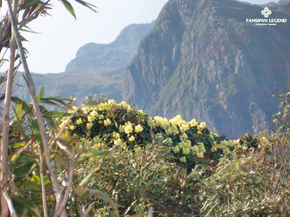 lao cai lan dau tien to chuc le hoi hoi hoa do quyen
