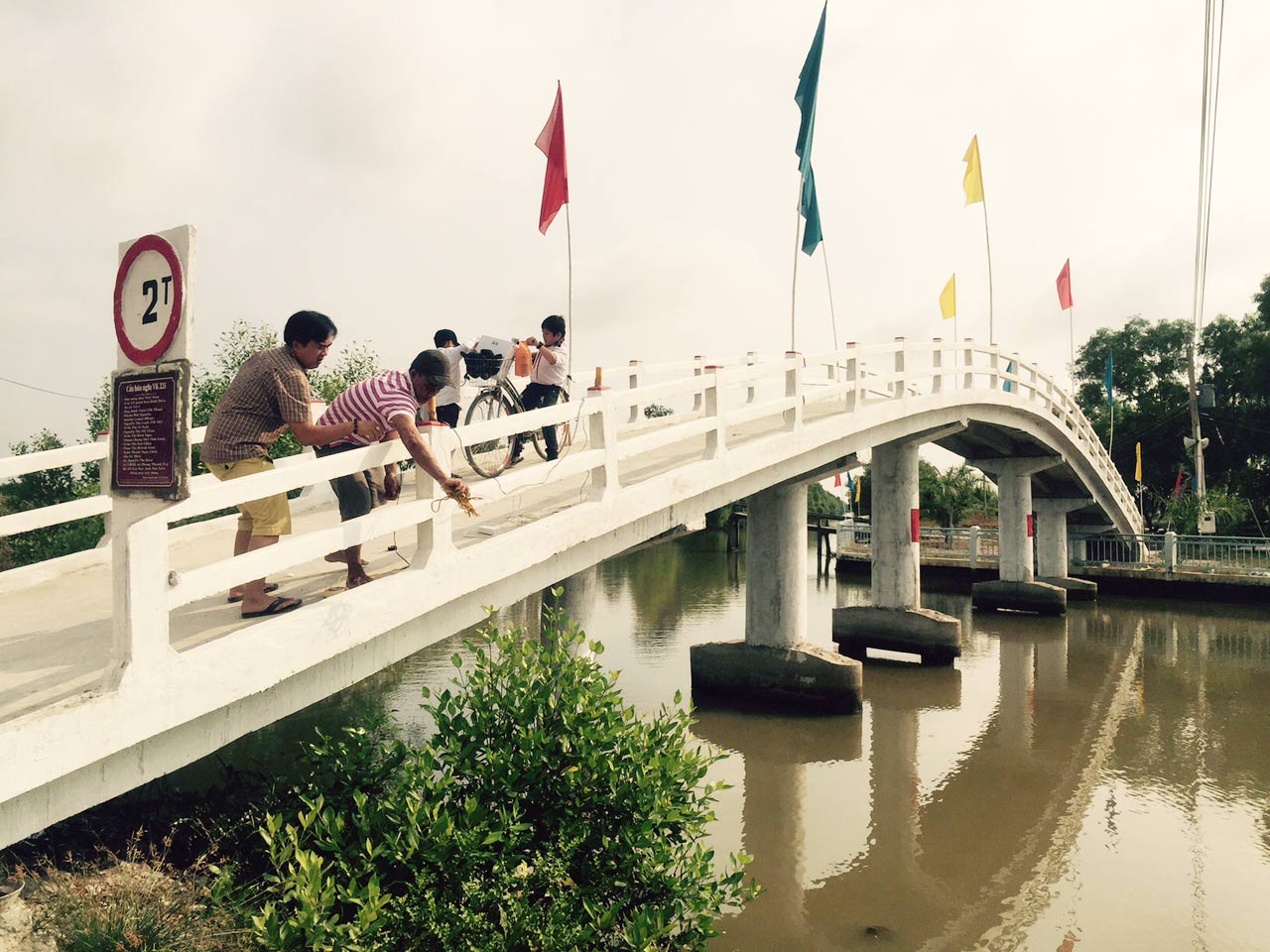 kieu bao tang 8 cau huu nghi cho tinh bac lieu