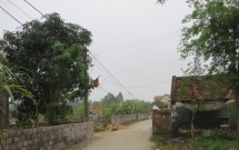 quay ve sau khi bi duoi khoi nha vo hoang hon phat hien chong tu vong trong tu the treo co