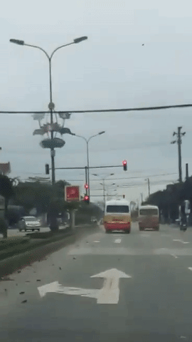 tuoc giay phep lai xe doi voi 2 tai xe xe buyt dua nhau tranh gianh khach tren ql1a