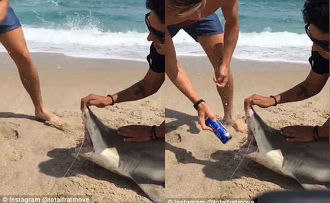 dung rang ca map mo lon nuoc 2 thanh nien om tron ca ro gach da tu cong dong mang