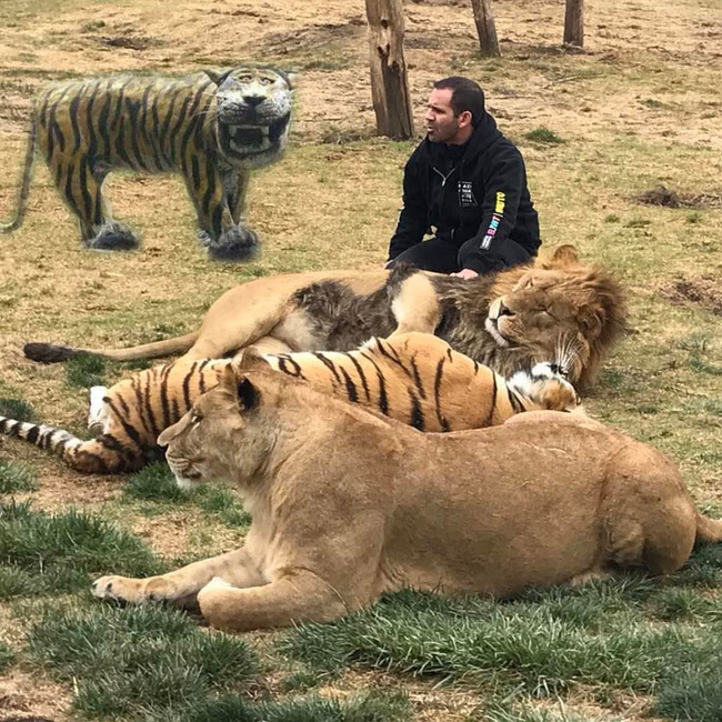 loat anh che buc tuong ho mat ngao khong cuoi sac nuoc bot khong tinh tien