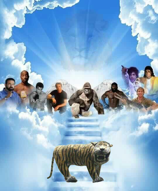 loat anh che buc tuong ho mat ngao khong cuoi sac nuoc bot khong tinh tien