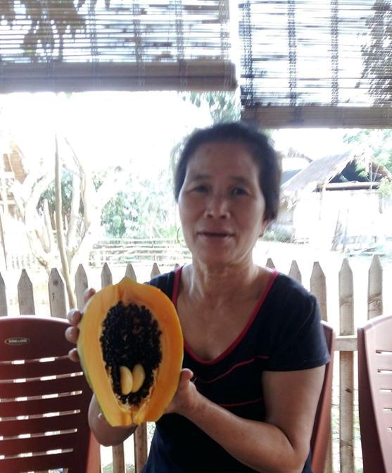 nguoi dan nghe an hao huc di xem du du mang bau