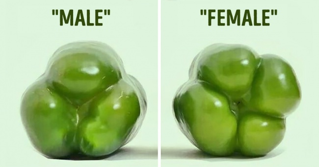 meo vat thu vi ve ot chuong khong phai ba noi tro gioi nao cung biet