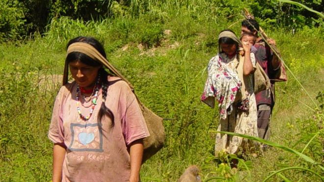 nguoi tsimane voi nhung trai tim khoe manh nhat the gioi