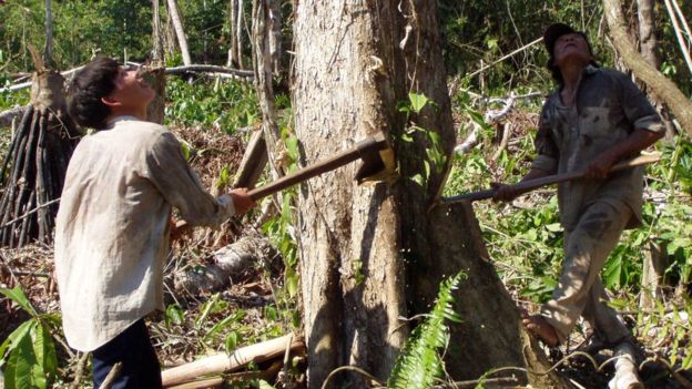nguoi tsimane voi nhung trai tim khoe manh nhat the gioi