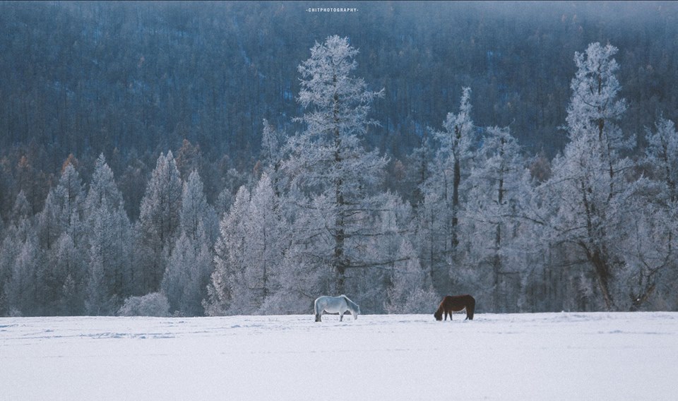 hanh trinh 15 ngay di tim bo lac tuan loc truyen thuyet cua nhiep anh gia tre nguoi viet