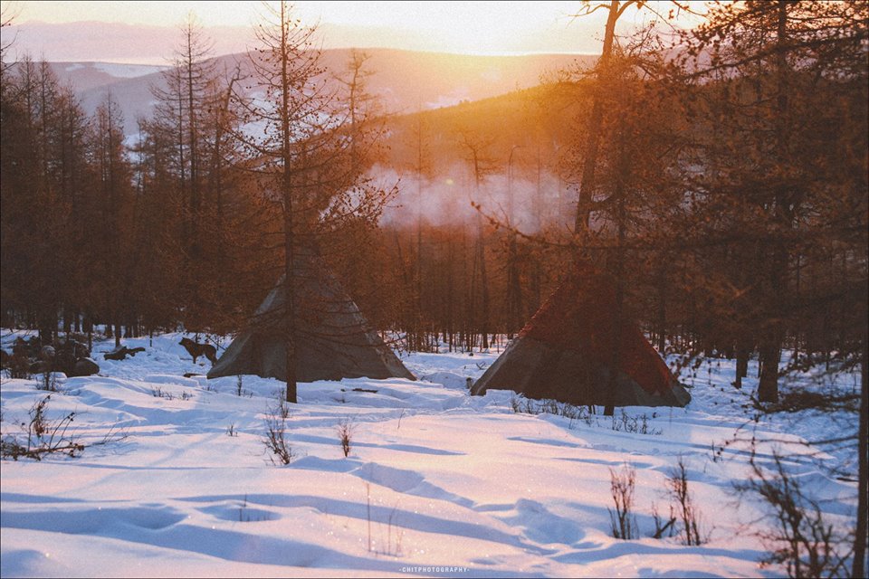 hanh trinh 15 ngay di tim bo lac tuan loc truyen thuyet cua nhiep anh gia tre nguoi viet