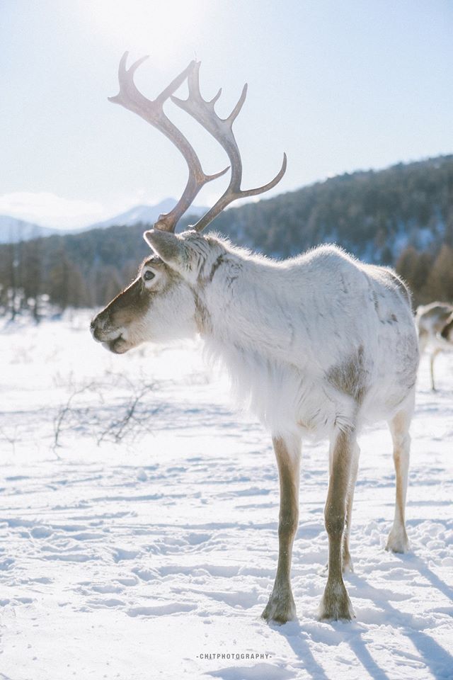 hanh trinh 15 ngay di tim bo lac tuan loc truyen thuyet cua nhiep anh gia tre nguoi viet