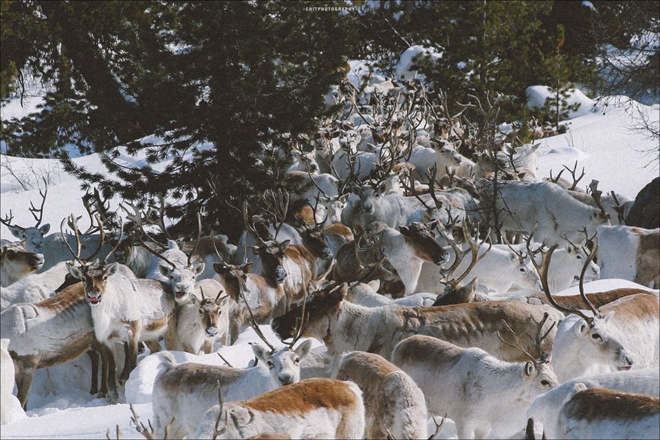 hanh trinh 15 ngay di tim bo lac tuan loc truyen thuyet cua nhiep anh gia tre nguoi viet