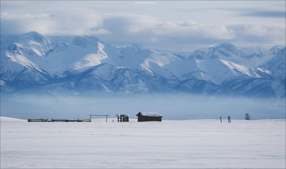 hanh trinh 15 ngay di tim bo lac tuan loc truyen thuyet cua nhiep anh gia tre nguoi viet