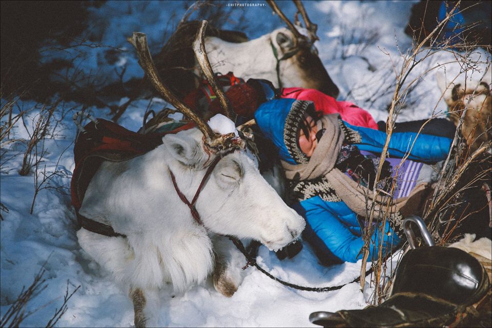 hanh trinh 15 ngay di tim bo lac tuan loc truyen thuyet cua nhiep anh gia tre nguoi viet