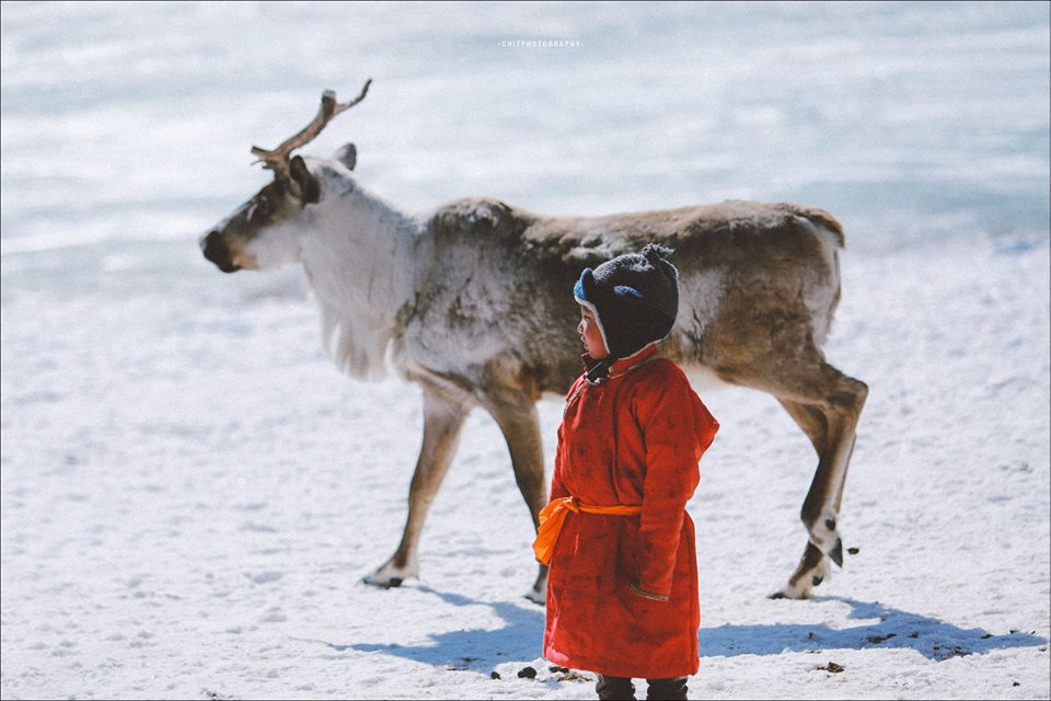 hanh trinh 15 ngay di tim bo lac tuan loc truyen thuyet cua nhiep anh gia tre nguoi viet