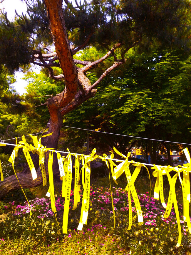 buc anh tap the lop cua cac hoc sinh han quoc sau tham kich chim pha sewol khien nhieu nguoi roi nuoc mat