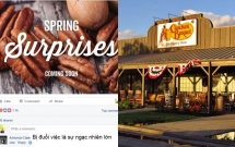 duoi viec nhan vien lam 11 nam cong ty an qua dang truoc man cong pha facebook cua cong dong mang