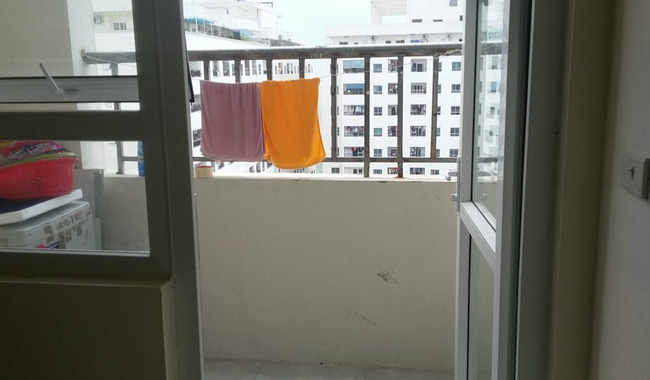 ha noi 4 chu cho con dong border collie nam thoi thop sau khi bi nem tu tang 40 chung cu xuong dat