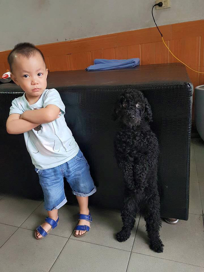 buc anh ve tinh chi em cua co cho 3 tuoi va cau nhoc 2 tuoi don tim dan mang