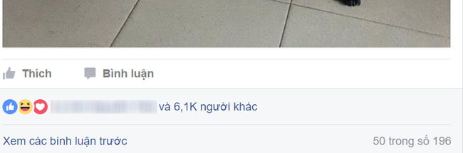 buc anh ve tinh chi em cua co cho 3 tuoi va cau nhoc 2 tuoi don tim dan mang