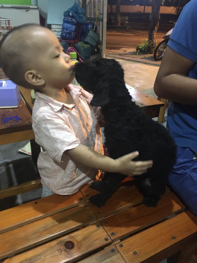 buc anh ve tinh chi em cua co cho 3 tuoi va cau nhoc 2 tuoi don tim dan mang