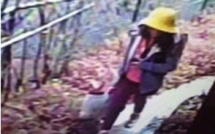 hinh anh cuoi cung cua be gai nguoi viet truoc khi mat tich va duoc phat hien tu vong o nhat ban