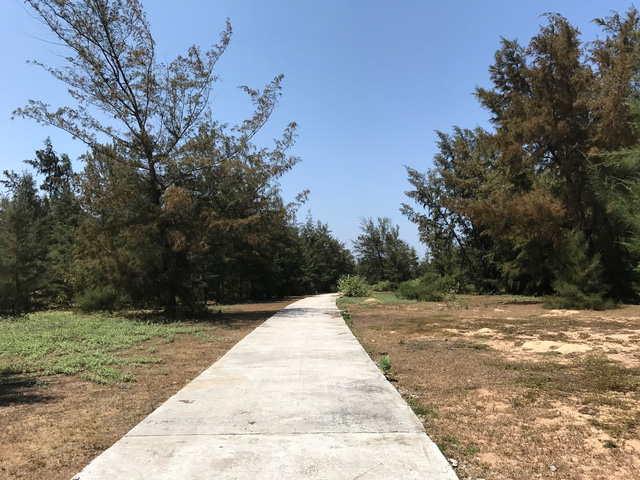 nhieu du an resort nghi duong cham tien do bo hoang tren dat vang ven bien phu yen